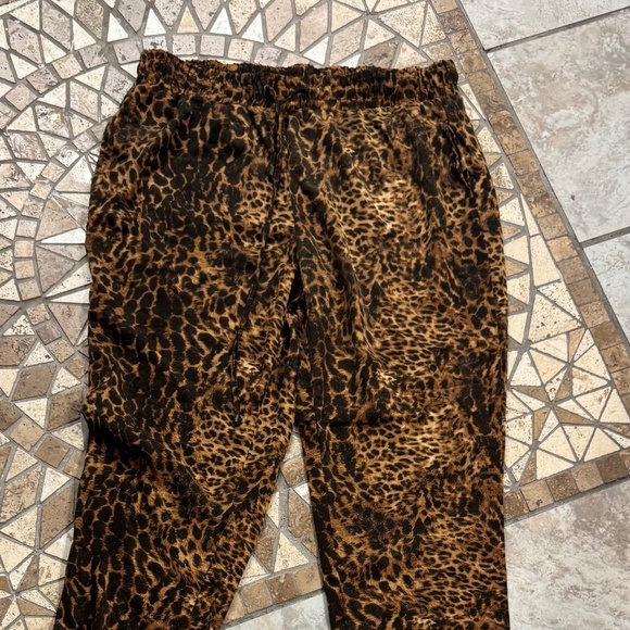 American Eagle Joggers - Picture 2 of 4